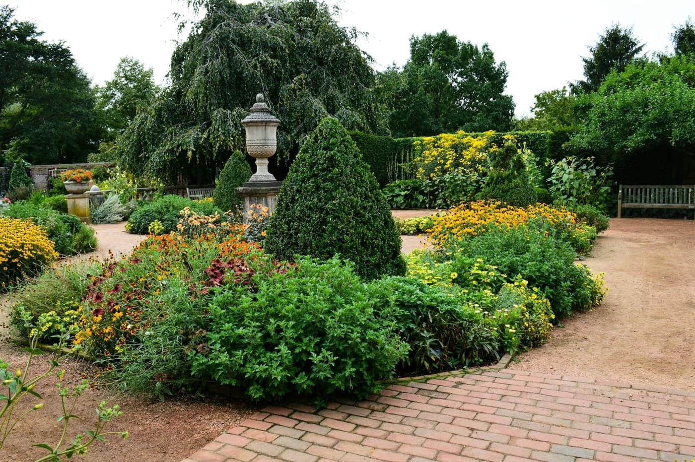 Formal garden beds edged in clipped boxwood with tall conical evergreens, an ornamental stone urn, and blocks of yellow and orange flowers